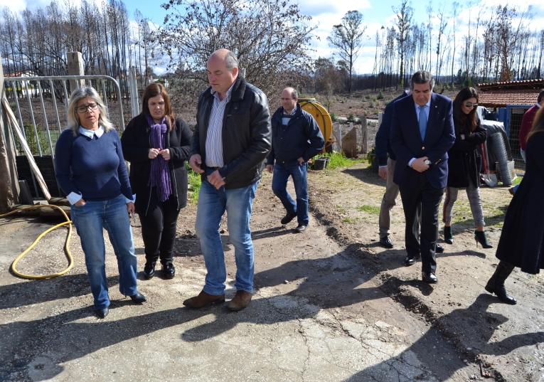 Rádio Regional do Centro: Protocolo visa repovoar com animais zonas afectadas pelos incêndios