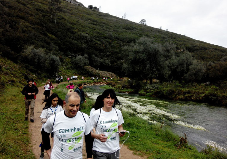 Rádio Regional do Centro: GNR promove caminhada pela floresta em Condeixa