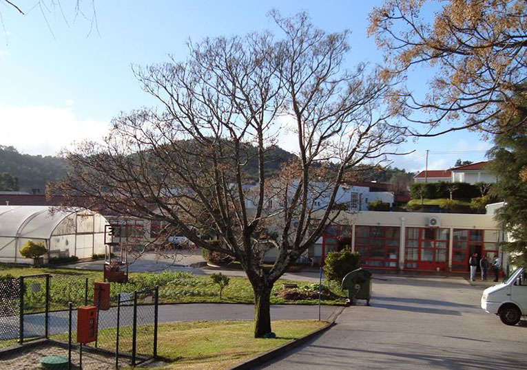Rádio Regional do Centro: Cercipenela consegue aprovação de três projectos de “especial importância”
