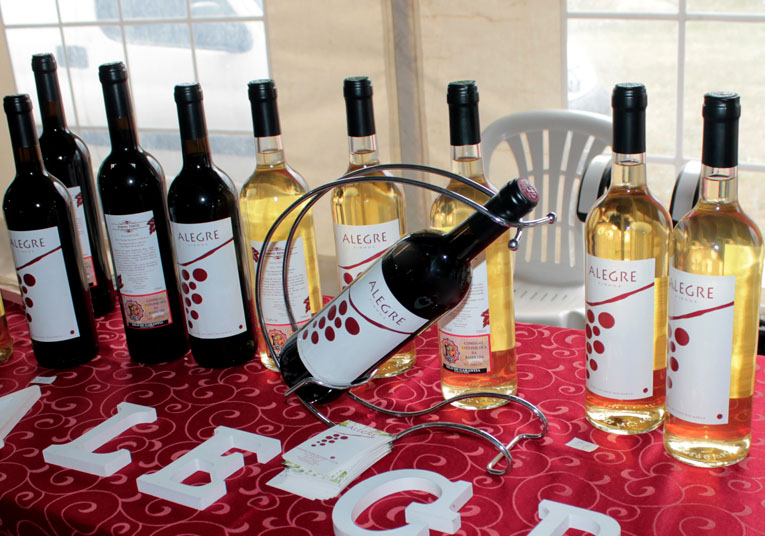 Rádio Regional do Centro: Vinhos Terras de Sicó de novo premiados em concurso internacional