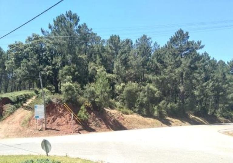 Rádio Regional do Centro: Maçãs de D. Maria apela ao voluntariado para limpar Serra de Santa Helena