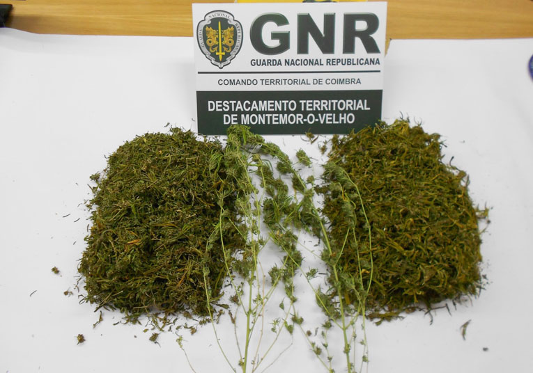 Rádio Regional do Centro: Montemor-o-Velho: GNR deteve um homem por tráfico de estupefacientes