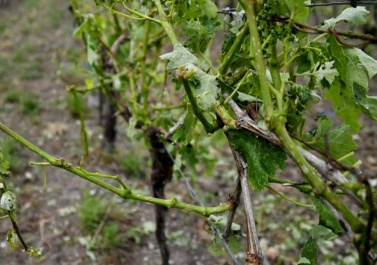 Rádio Regional do Centro: Penela: Vinisicó esclarece sobre medidas a adoptar por causa do mau tempo