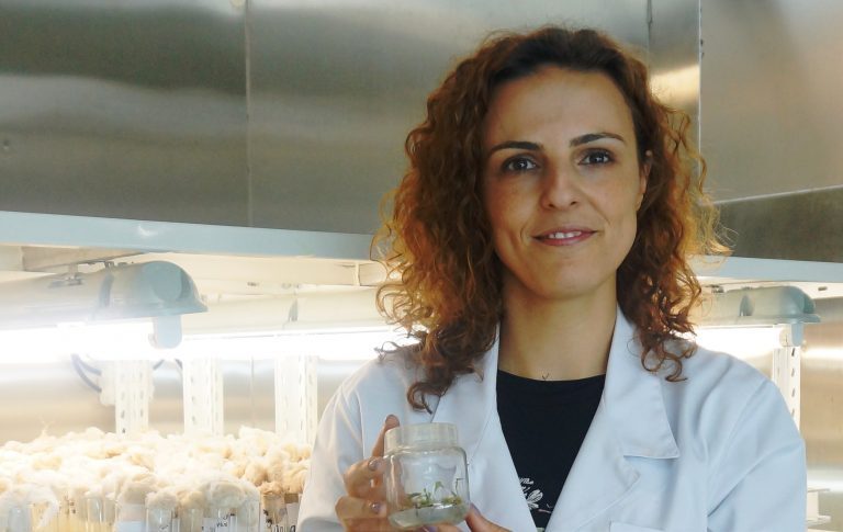 Rádio Regional do Centro: Cientistas da FCTUC identificam proteína para clonagem de plantas