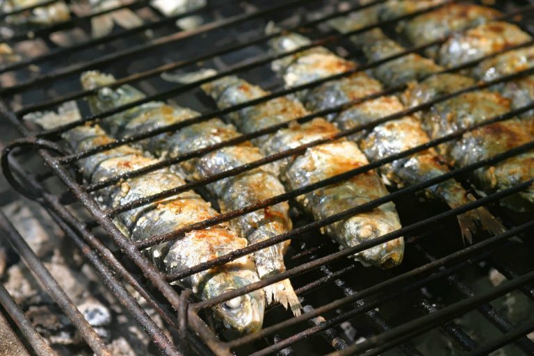 Rádio Regional do Centro: Pesca da sardinha só em Junho, a tempo dos Santos Populares