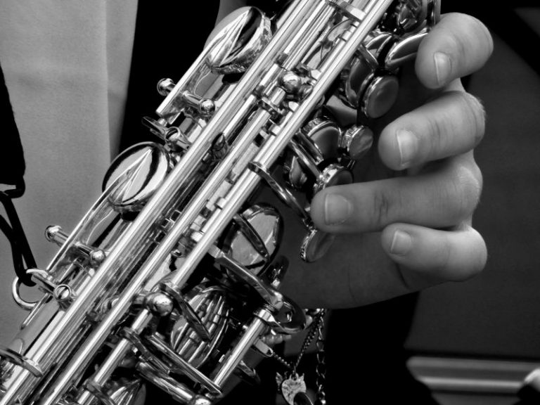 Rádio Regional do Centro: Meajazz – Festival de Jazz da Mealhada regressa nos dias 6 e 7 de setembro