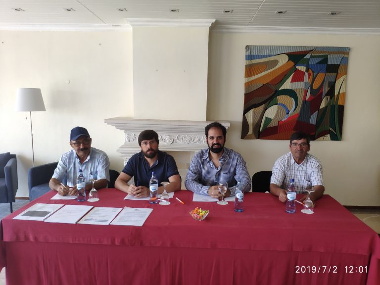 Rádio Regional do Centro: A Rádio Regional do Centro esteve na conferência de imprensa do MAAVIM