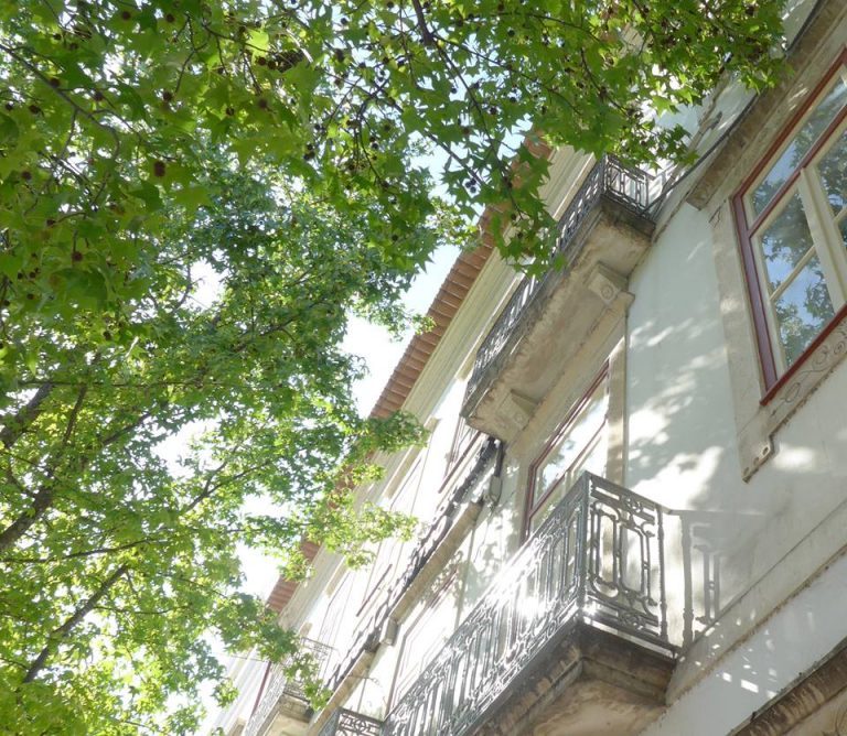 Rádio Regional do Centro: Coimbra: Investigadores apresentam trabalho científico no Liquidâmbar