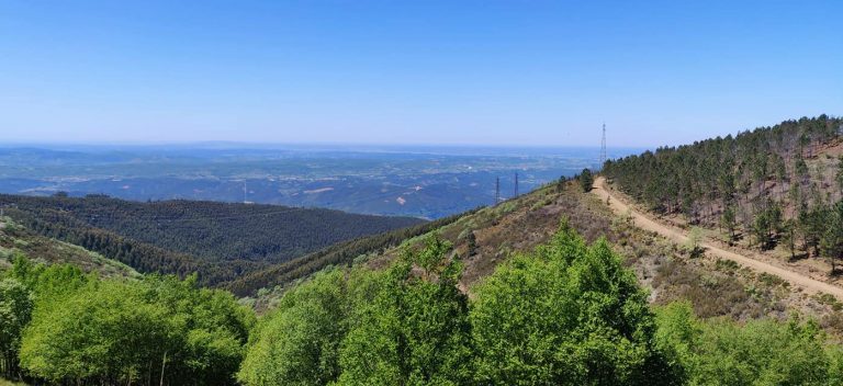 Rádio Regional do Centro: Baldios contestam acórdão que entrega terreno em Miranda do Corvo Rádio Regional do Centro: Baldios contestam acórdão que entrega terreno em Miranda do Corvo