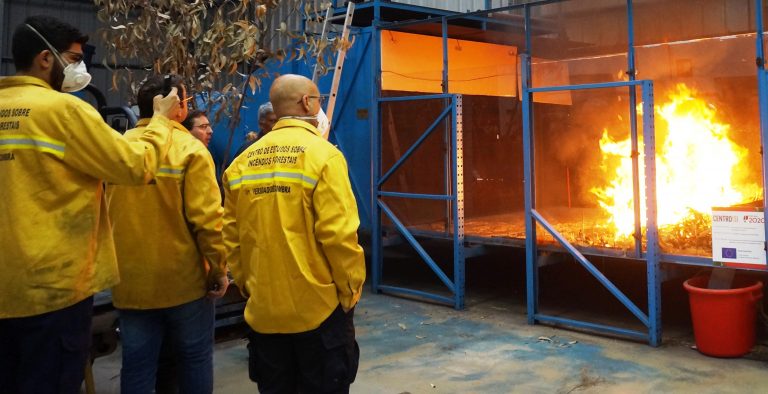 Rádio Regional do Centro: UC participa em projecto para melhorar a resiliência das florestas a incêndios Rádio Regional do Centro: UC participa em projecto para melhorar a resiliência das florestas a incêndios