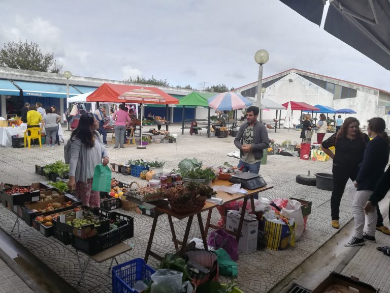 Rádio Regional do Centro: Cantanhede assinala no sábado o Dia Mundial da Alimentação