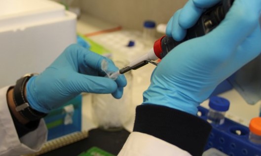 Rádio Regional do Centro: Investigadores da UC vencem prémio em medicina regenerativa Rádio Regional do Centro: Investigadores da UC vencem prémio em medicina regenerativa