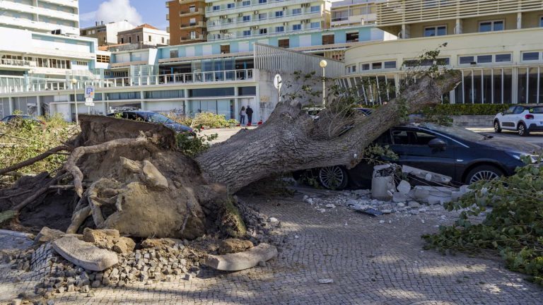 Rádio Regional do Centro: Municípios vão receber uma “gota” de apoios um ano após o Leslie Rádio Regional do Centro: Municípios vão receber uma “gota” de apoios um ano após o Leslie