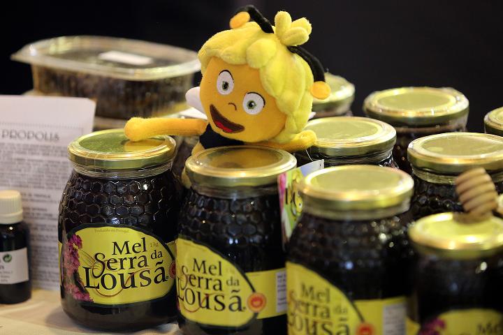 Rádio Regional do Centro: Colheita de mel DOP Serra da Lousã ascende a seis toneladas Rádio Regional do Centro: Colheita de mel DOP Serra da Lousã ascende a seis toneladas