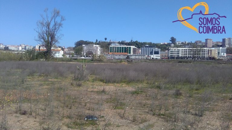 Rádio Regional do Centro: Movimento Somos Coimbra promove tertúlia sobre espaços verdes Rádio Regional do Centro: Movimento Somos Coimbra promove tertúlia sobre espaços verdes