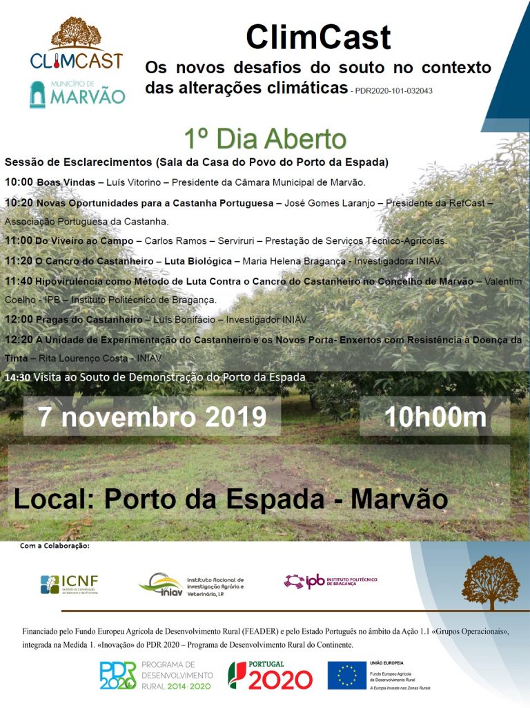 Rádio Regional do Centro: Marvão: Dia Aberto dedicado à temática dos castanheiros e produção de castanha Rádio Regional do Centro: Marvão: Dia Aberto dedicado à temática dos castanheiros e produção de castanha