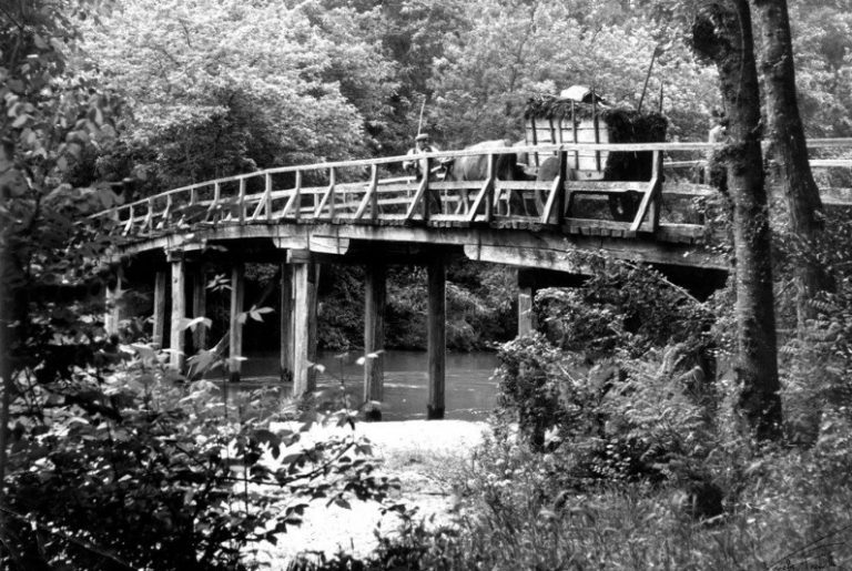 Rádio Regional do Centro: Coimbra: Fotografias de Varela Pècurto na Casa da Cultura Rádio Regional do Centro: Coimbra: Fotografias de Varela Pècurto na Casa da Cultura