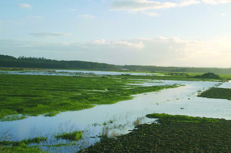 Rádio Regional do Centro: Alerta de cheia no Baixo Mondego