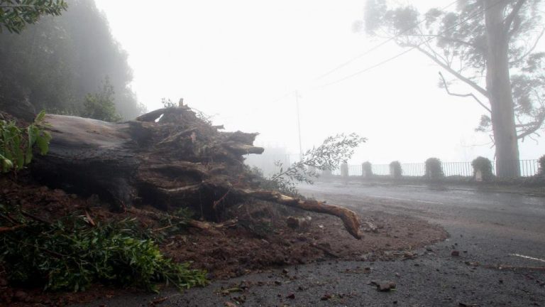 Rádio Regional do Centro: Programa da Manhã: O ponto da situação dos estragos do mau tempo na Região