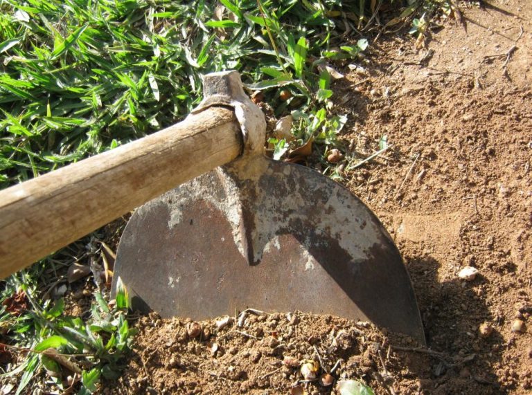 Rádio Regional do Centro: “CoimbraMaisFuturo” abre quatro concursos de apoio aos agricultores