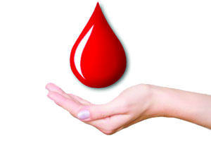 Rádio Regional do Centro: Programa da Manhã: Instituto Português do Sangue preocupado com as reservas