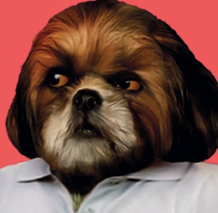 Rádio Regional do Centro: Anadia recebe antestreia nacional “O Filme do Bruno Aleixo”