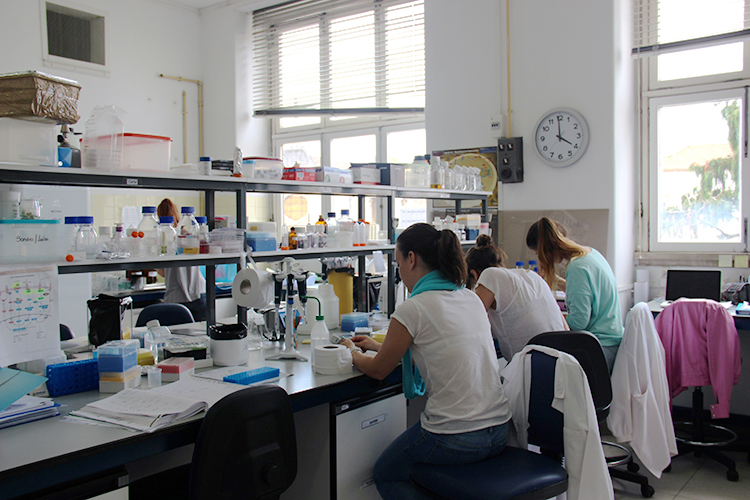 Rádio Regional do Centro: Prémio Bluepharma/UC com candidaturas abertas até 02 de Março Rádio Regional do Centro: Prémio Bluepharma/UC com candidaturas abertas até 02 de Março