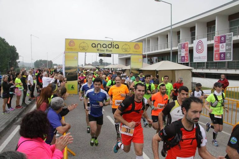 Rádio Regional do Centro: Anadia Wine Run tem nova edição em março