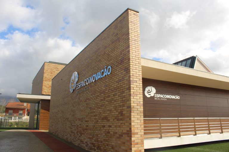 Rádio Regional do Centro: Espaço Inovação Mealhada vai receber workshop “Ilustração Científica”