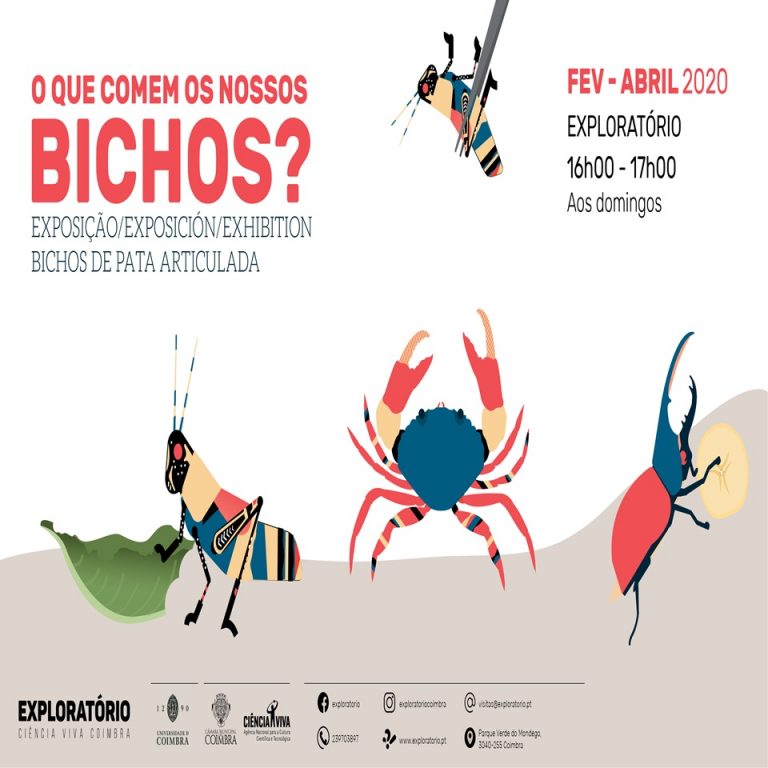 Rádio Regional do Centro: Coimbra: Exposição ‘Bichos de Pata Articulada’, aos domingos no Exploratório