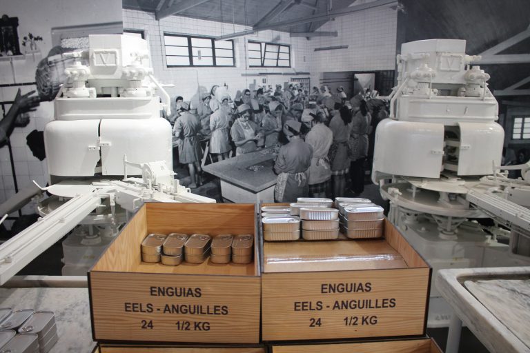 Rádio Regional do Centro: COMUR – Museu Municipal da Murtosa celebra 5 anos de existência