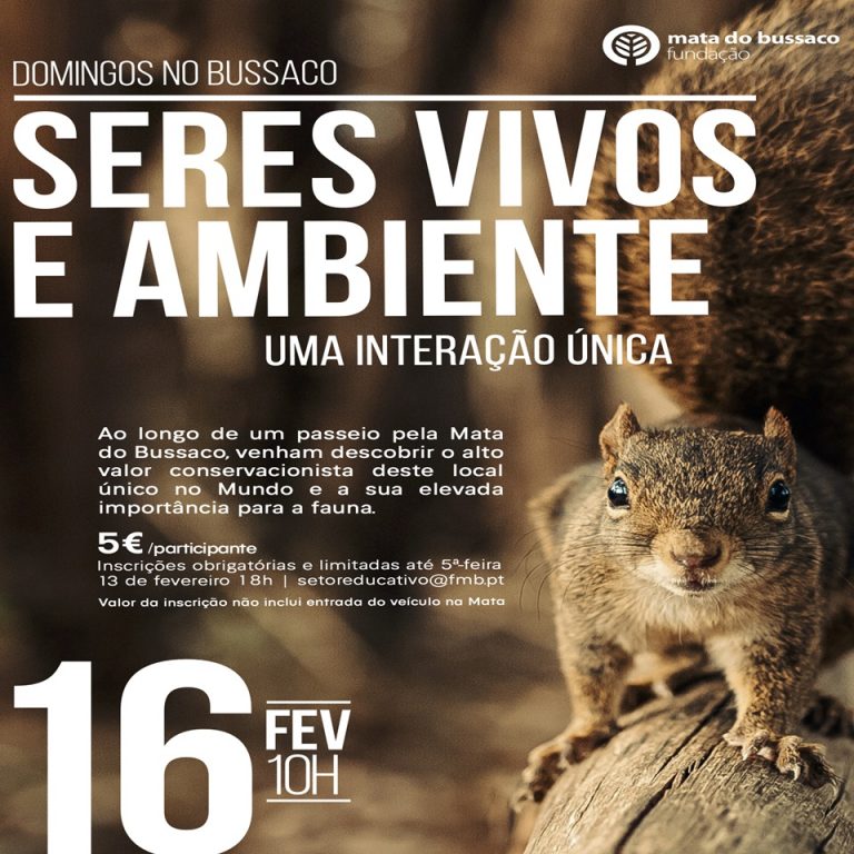 Rádio Regional do Centro: Terminam hoje as inscrições para o “Domingos no Bussaco”