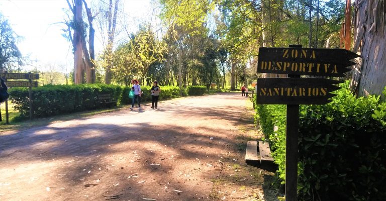 Rádio Regional do Centro: Conheça melhor a Mata do Choupal em Coimbra