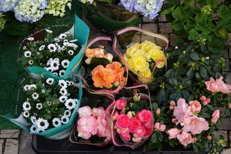 Rádio Regional do Centro: Primavera começou hoje com chuva e descida da temperatura