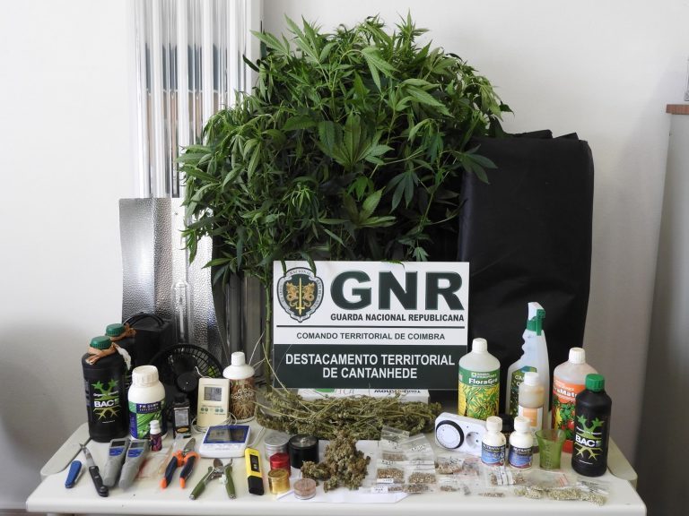Rádio Regional do Centro: GNR deteve um casal por tráfico de droga e em flagrante delito em Mira