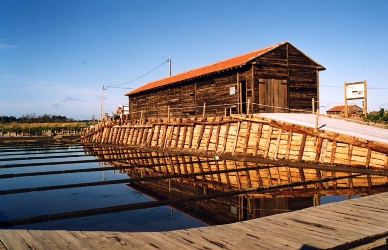 Rádio Regional do Centro: Figueira da Foz quer ensinar a fazer sal e a preservar a pesca