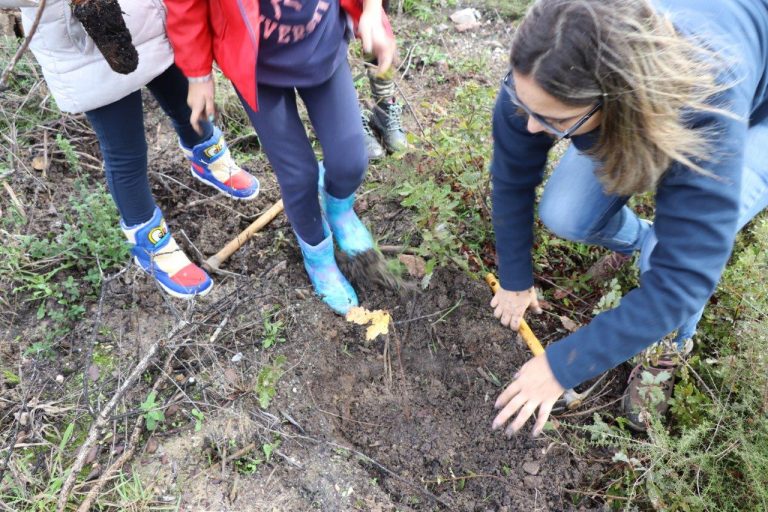 Rádio Regional do Centro: Mata do Sobral dinamiza primeira iniciativa ambiental dia 15 de Março