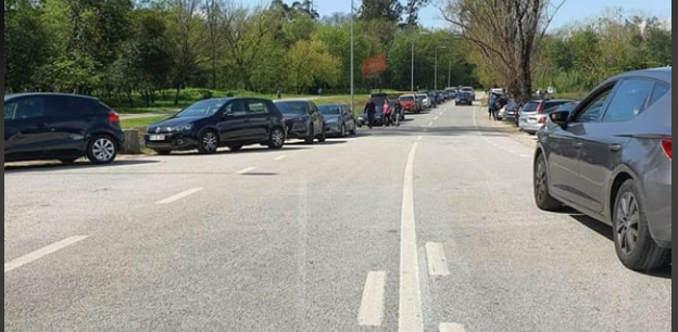 Rádio Regional do Centro: Câmara de Coimbra chama autoridades à Mata do Choupal