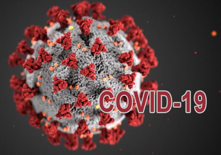 Rádio Regional do Centro: Covid-19: Portugal com cinco mortes e 488 novos casos nas últimas 24 horas
