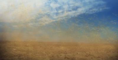 Rádio Regional do Centro: Agência do Ambiente alerta para possibilidade de fraca qualidade do ar