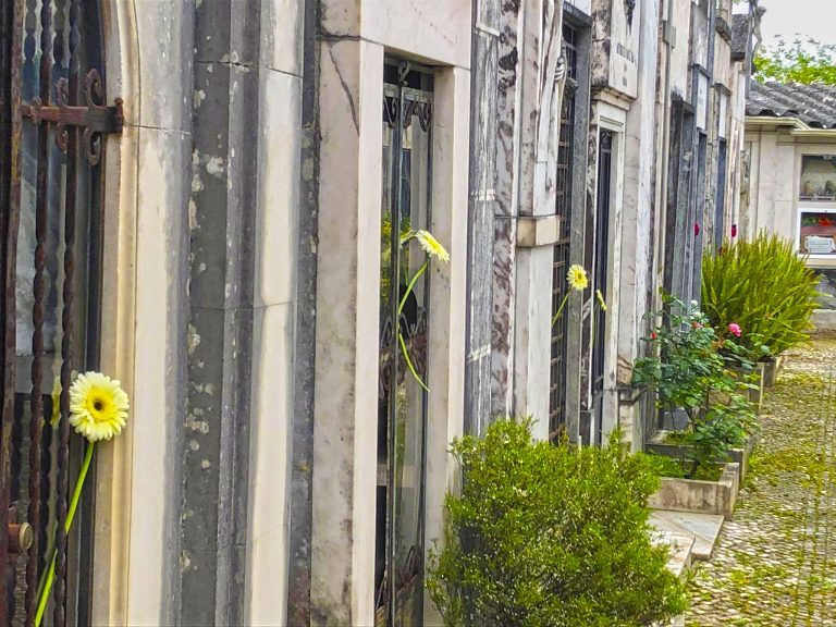 Rádio Regional do Centro: Câmara de Coimbra colocou flores no Cemitério da Conchada