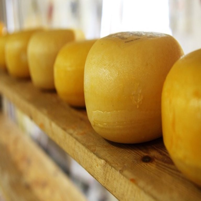 Rádio Regional do Centro: Feira do Queijo DOP prolongada até 15 de maio e passa a incluir vinhos