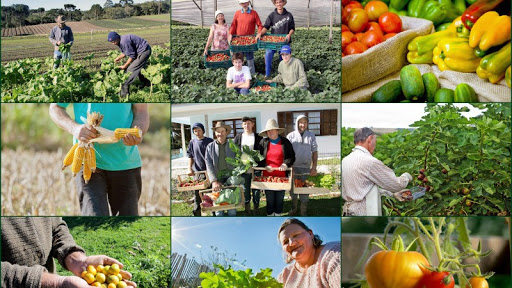 Rádio Regional do Centro: Programa da Manhã: CNA promove hoje às 17h debate sobre Agricultura Familiar