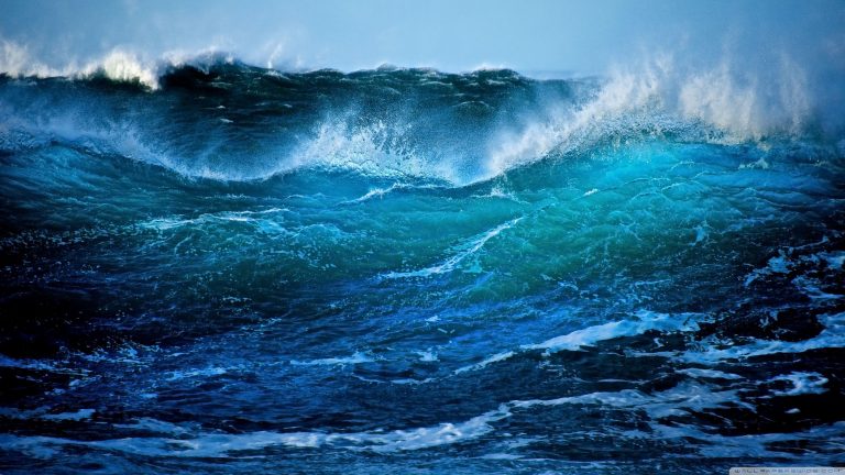 Rádio Regional do Centro: Encontrado corpo de jovem que desapareceu no mar em Ílhavo há uma semana