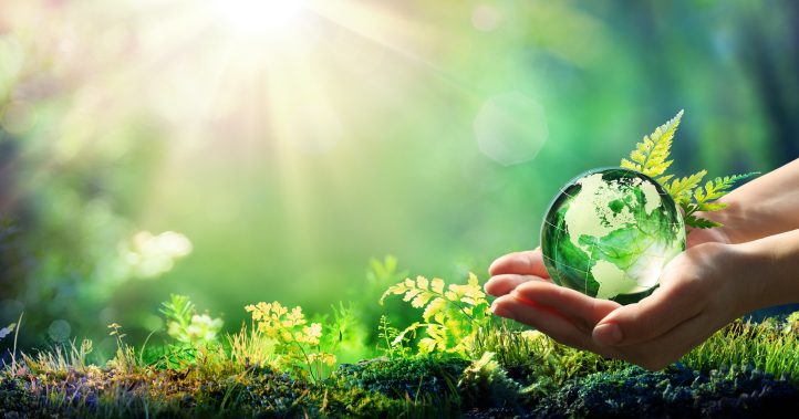 Rádio Regional do Centro: Dia Mundial do Ambiente é dedicado à Biodiversidade