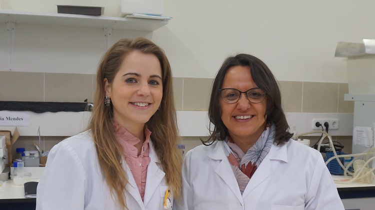 Rádio Regional do Centro: Investigadores UC detectam antioxidantes e repelentes em resíduos de pinheiros