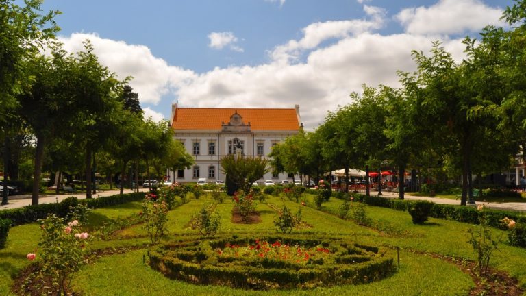Rádio Regional do Centro: Mealhada ajuda a dinamizar o comércio local (c/ som)