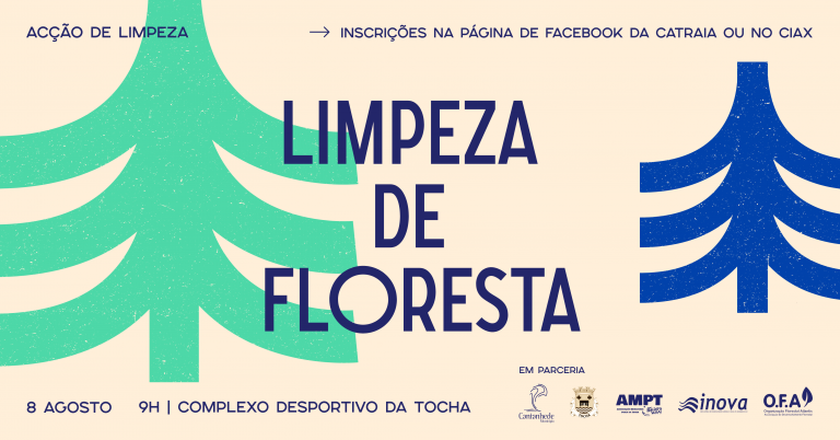 Rádio Regional do Centro: Tocha: Começa este sábado a iniciativa ‘Limpeza da Floresta’