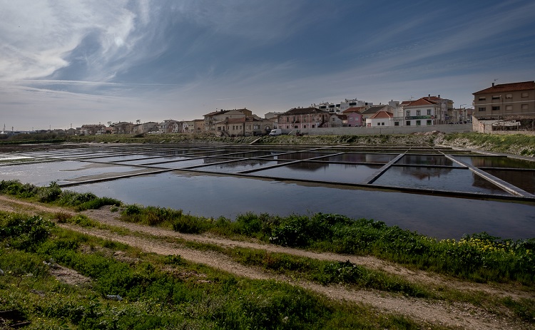 Rádio Regional do Centro: Empresários querem reactivar salina para turismo na Figueira da Foz