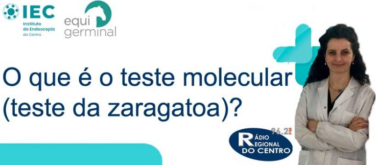 Rádio Regional do Centro: O que é o teste molecular (teste da zaragatoa)?